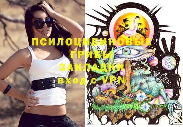 стафф Абинск