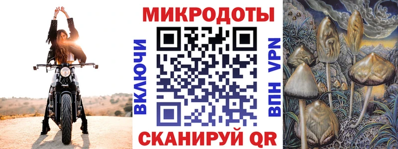 Галлюциногенные грибы Psilocybine cubensis Зарайск